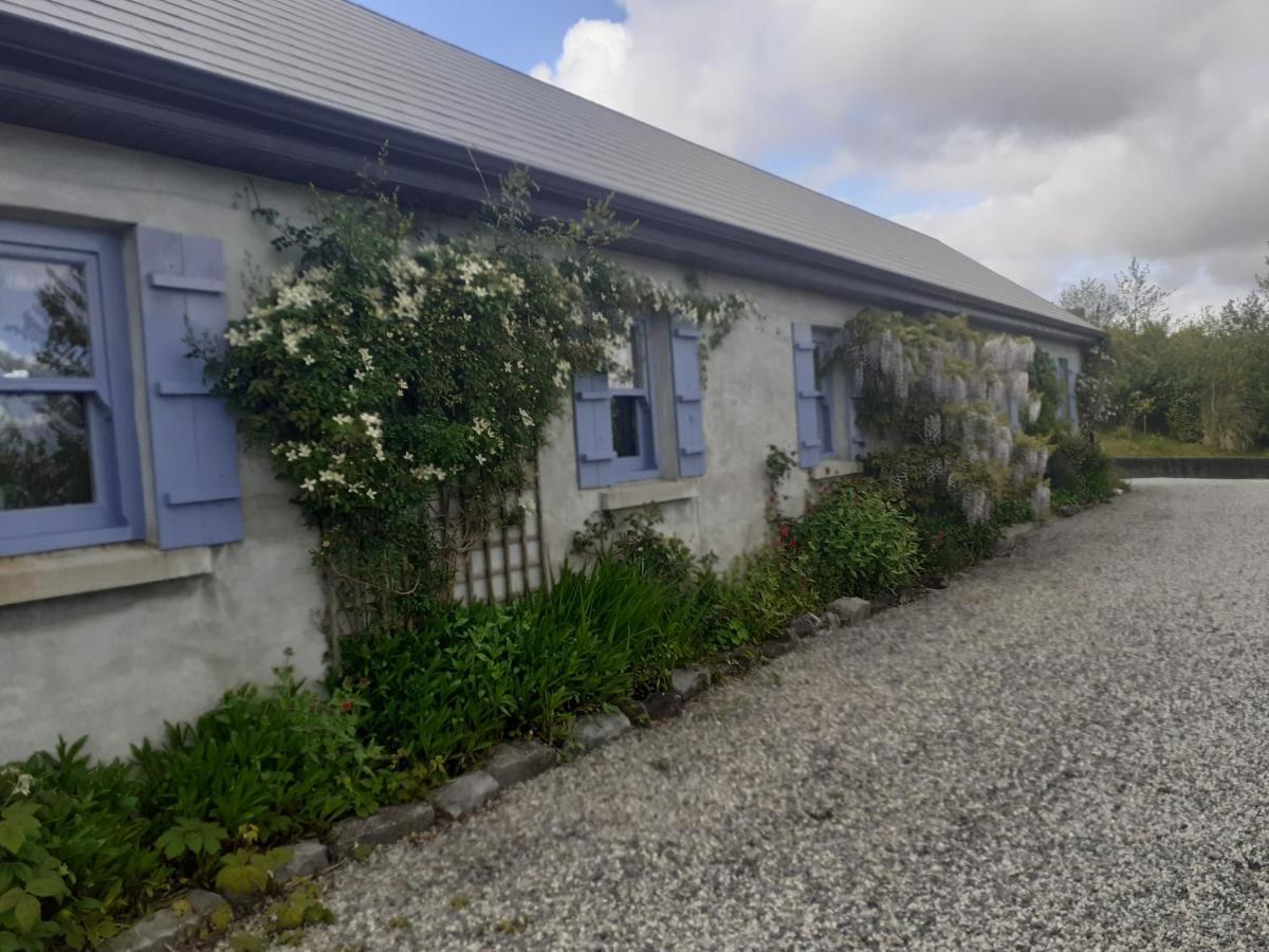Escape To The Country Villa Westport Exteriör bild